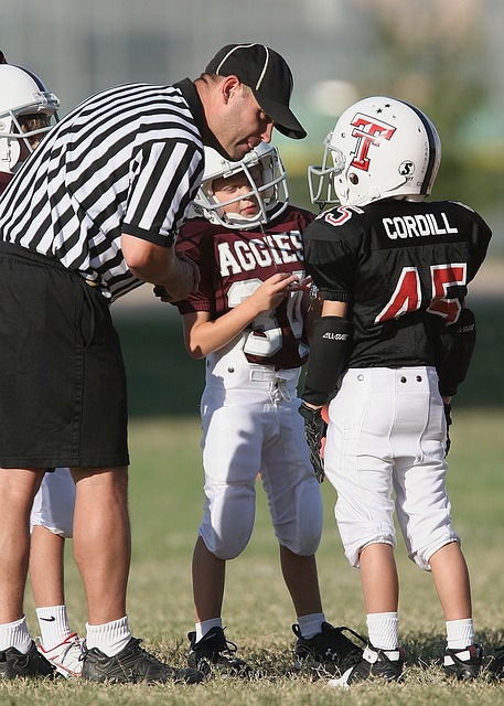 确保球队核 确保球队核