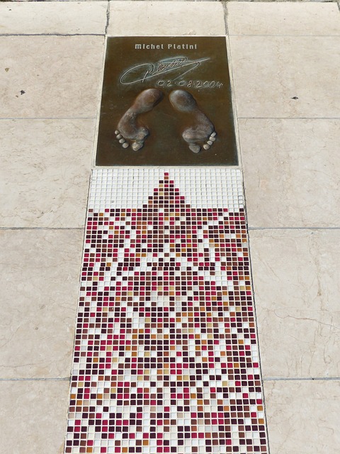 智和品格的 智和品格的